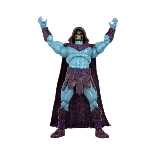Masters of the Universe Chronicles Skeletor Evil Lord of Destruction Deluxe Articulation Action Figure