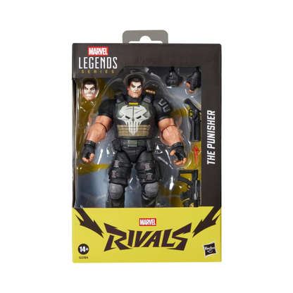 Hasbro Marvel Legends Rivals The Punisher Action Figure