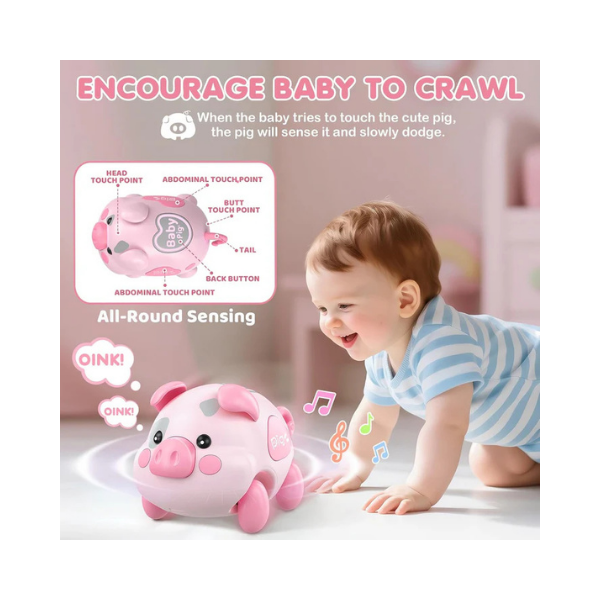 Baby Musical Piggy Toy for 6–18 Months – Tummy Time & Development