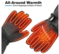 DINSVTA Heated Gloves - Rechargeable Winter Skiing Essential (Medium/Unisex)