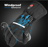 DINSVTA Heated Gloves - Rechargeable Winter Skiing Essential (Medium/Unisex)