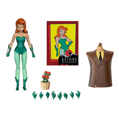 Batman Animated Series Poison Ivy 6" Action Figure – Build Bruce Wayne - Logan's Toy Chest