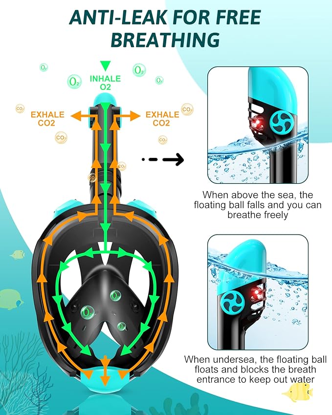 Viginsul Full Face Snorkel Mask & Adjustable Fins Set - Anti-Fog, Panoramic View - Logan's Toy Chest